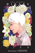 Novel (EN)