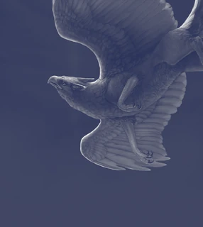 The Summer King Chronicles Wiki