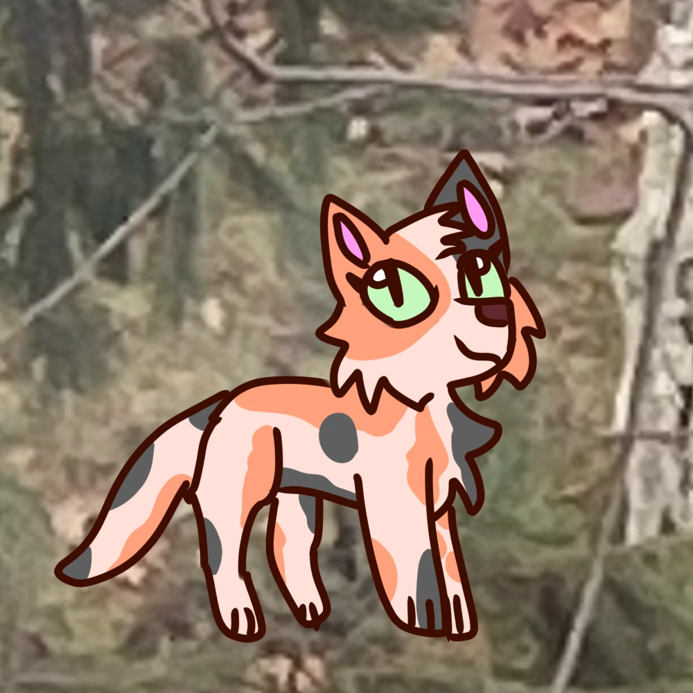 Nelly/Gallery The Sun and Moon Cats Wiki Fandom