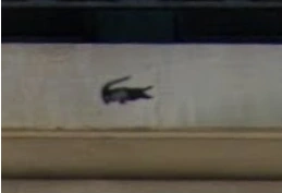 Ezra's Lacoste tag at Ruggles Hall, Columbia University