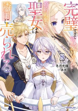 Novel