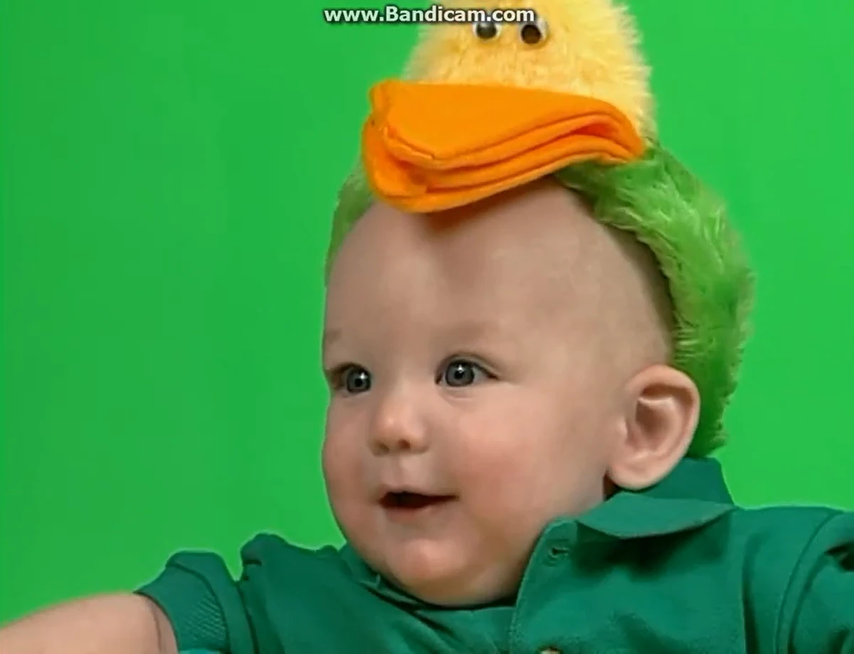 Duckbill Headband The Toy Chest Of Baby Einstein Wiki Fandom