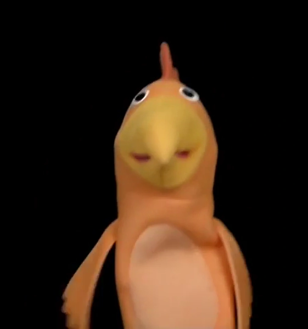 Baby Einstein Puppets Coco The Cockatoo The Toy Chest Of Baby