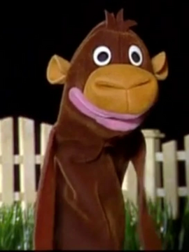 Baby einstein monkey puppet sales