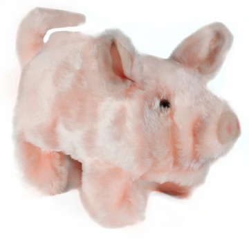 Pudgey The Piglet | The Toy Chest Of Baby Einstein Wiki | Fandom