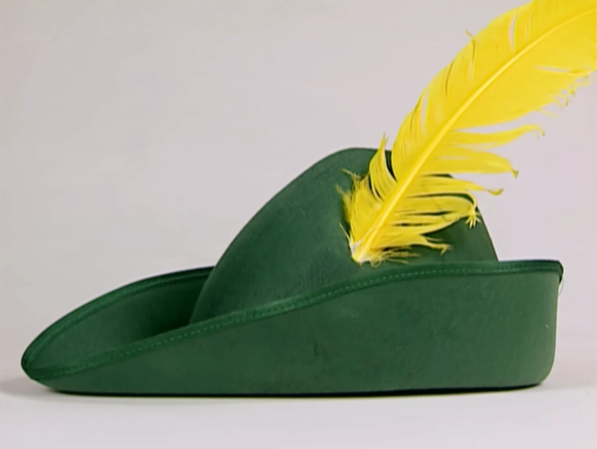 Yellow Feathered Green Hat The Toy Chest Of Baby Einstein Wiki Fandom