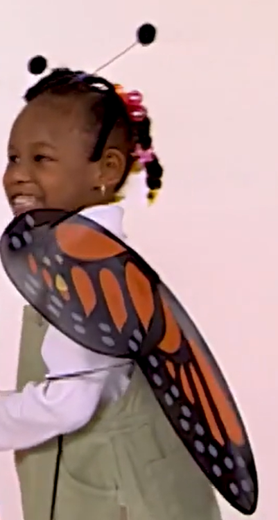 Monarch Butterfly Wing The Toy Chest Of Baby Einstein Wiki Fandom