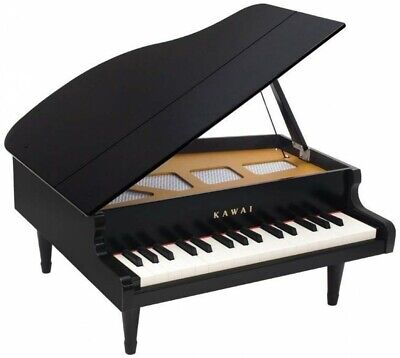 Mini Grand Piano | The Toy Chest Of Baby Einstein Wiki | Fandom