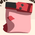 Master Explorer Shorts (Blossom Pink)