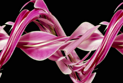 その他 Artbeats ReelExplosions 4 ソフト音源 「SDX - Real to Reel」 | SONICWIRE