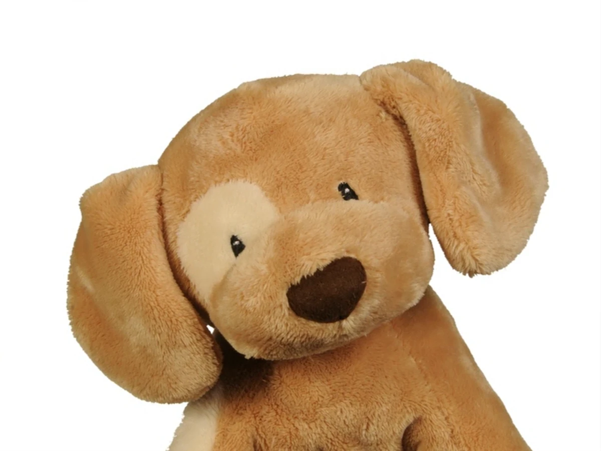 Spunky Dog Plush | The True Baby Einstein Wiki | Fandom