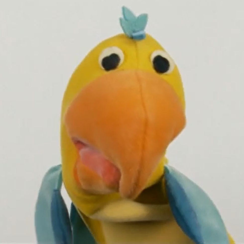 Einstein outlet the parrot
