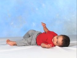 Baby's First Moves/Gallery, The True Baby Einstein Wiki