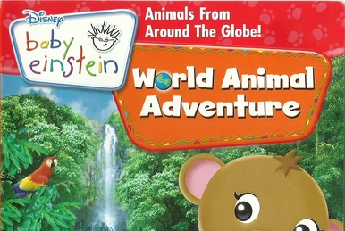 World of Colors (Discovery Kit) | The True Baby Einstein Wiki | Fandom