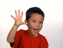 Numbers Nursery Gallery The True Baby Einstein Wiki Fandom