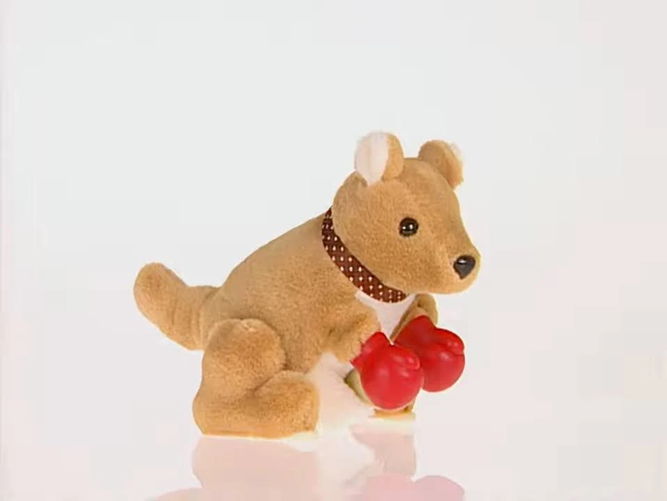 Boxing Kangaroo The True Baby Einstein Wiki Fandom