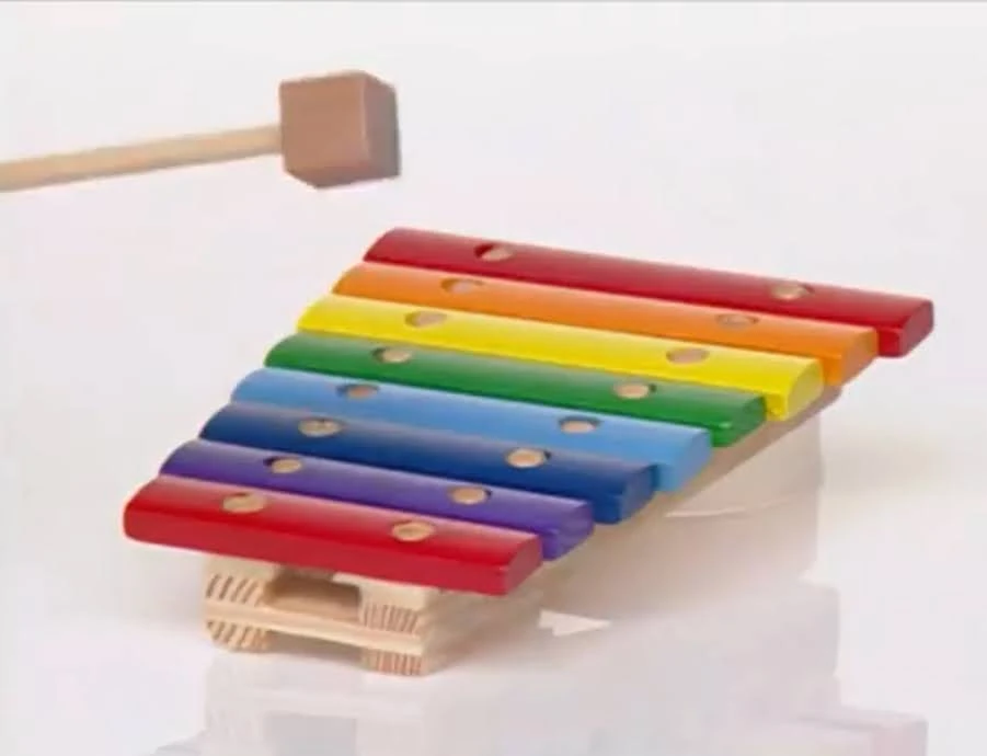 Makin' Music Instruments Xylophone The True Baby Einstein Wiki Fandom