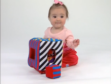 Soft Shape Sorter The True Baby Einstein Wiki Fandom