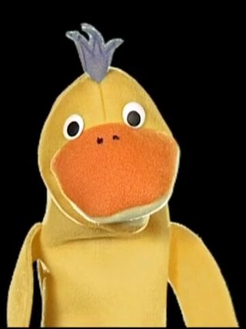 Baby einstein sales duck puppet