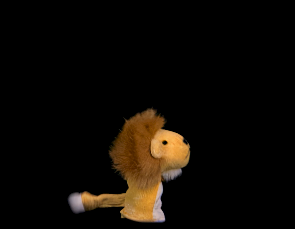 Baby einstein sales lion toy