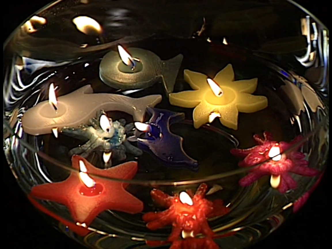Floating Candles The True Baby Einstein Wiki Fandom