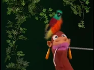 Jane with Parrot wearing Banana earrings