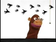 Looking at Monkey footprints