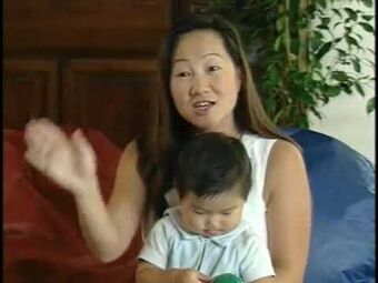 Video Tutorials Videos The True Baby Einstein Wiki Fandom