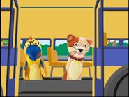 Stella the Cat - On The Go 3