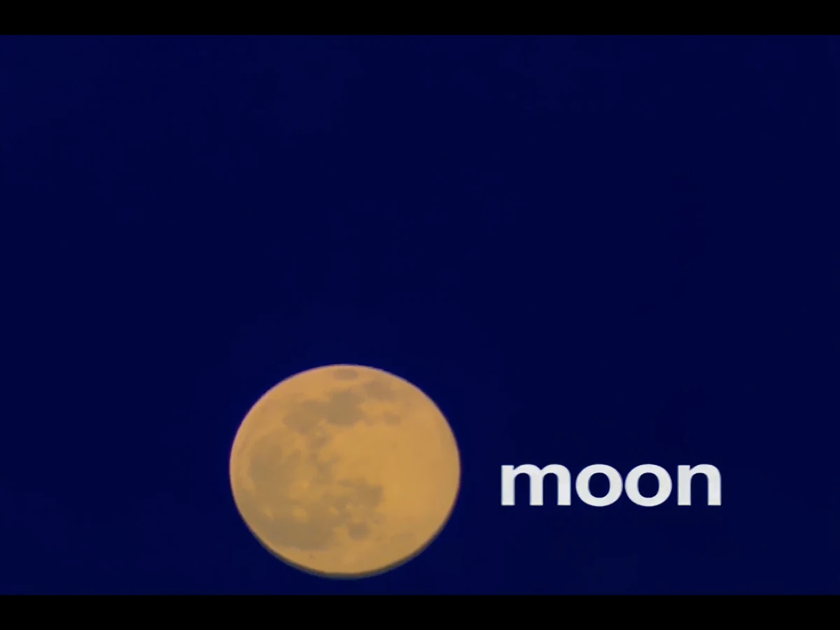 Moon The True Baby Einstein Wiki Fandom