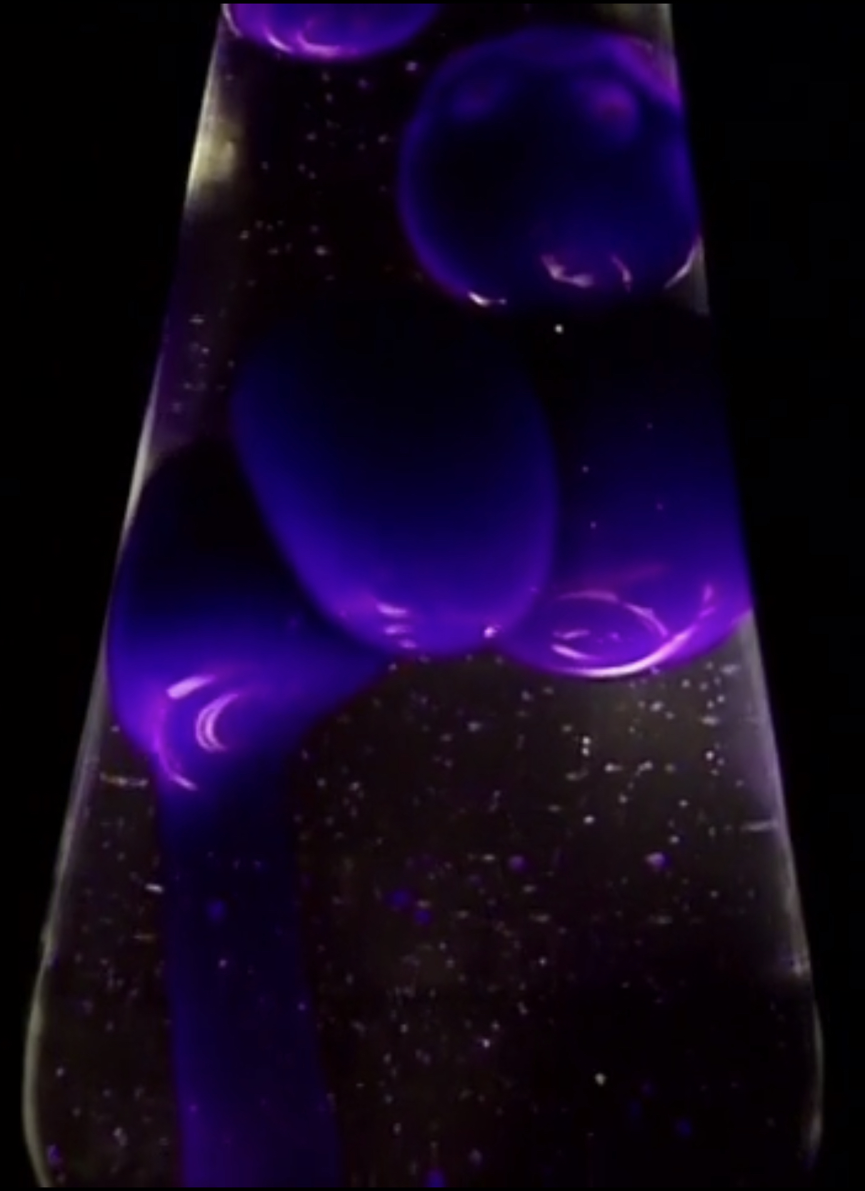 Lava Lamp: Purple The True Baby Einstein | Fandom