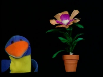 Bluebird and the Flower | The True Baby Einstein Wiki | Fandom
