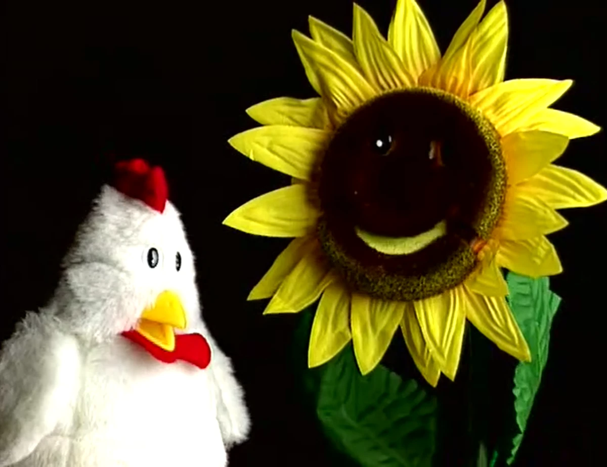 Sunny the Singing Sunflower The True Baby Einstein Wiki Fandom