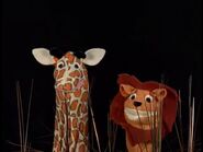 Baby Dolittle World Animals 3