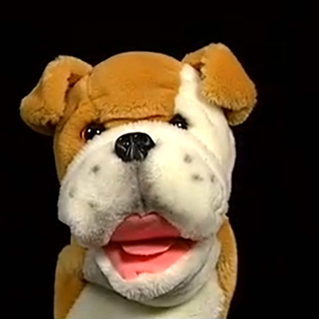 Jake The Bulldog The True Baby Einstein Wiki Fandom