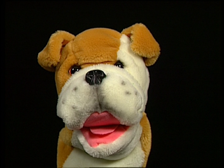 Jake The Bulldog The True Baby Einstein Wiki Fandom