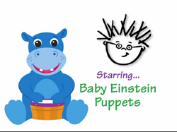 Meet The Orchestra Gallery The True Baby Einstein Wiki Fandom