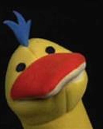 Duck The True Baby Einstein Wiki Fandom