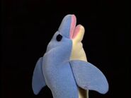 Papagino Dolphin - Baby Mozart 1