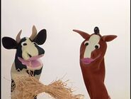 Neighton the Horse - Neighborhood Animals 2