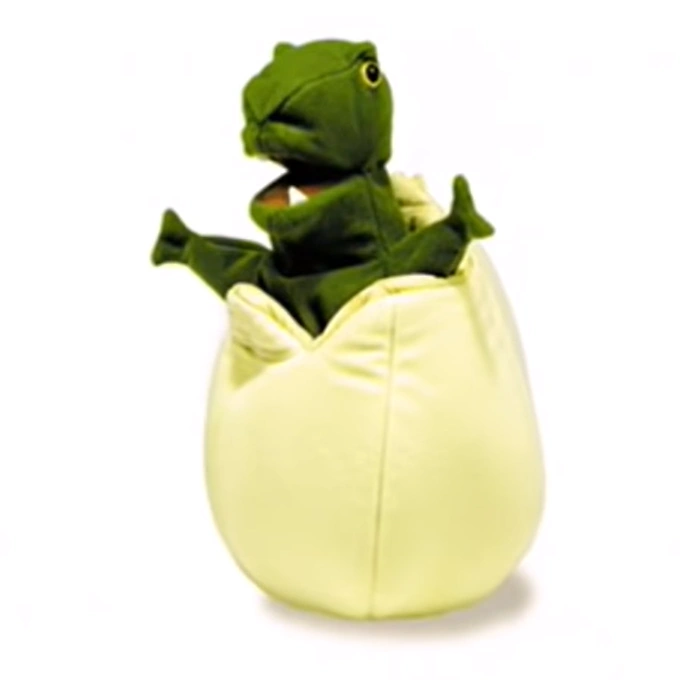 Dinosaur (Baby ster) The True Baby Einstein Wiki Fandom