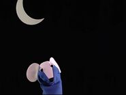 Misty Mouse - Baby Galileo 2