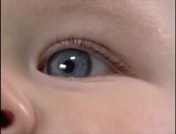 Baby Da Vinci Gallery The True Baby Einstein Wiki Fandom