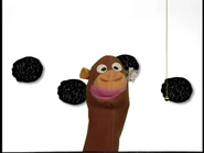 Looking at Elephant footprints