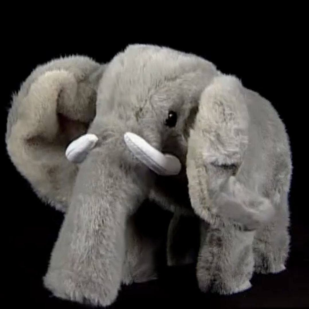 Bongo Elephant | The True Baby Einstein Wiki | Fandom