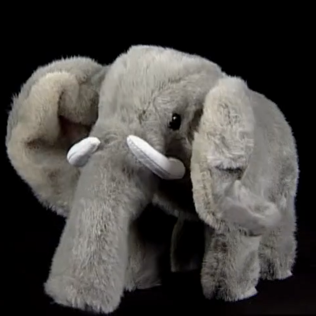 Bongo Elephant | The True Baby Einstein Wiki | Fandom Bongo Elephant | The True Baby Einstein Wiki | Fandom