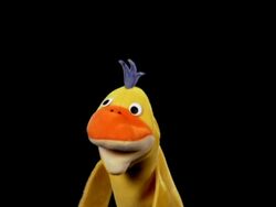 Duck The True Baby Einstein Wiki Fandom