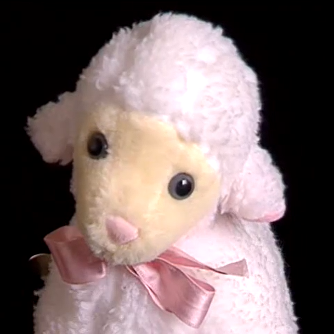 Wind-Up Musical Lamb, The True Baby Einstein Wiki