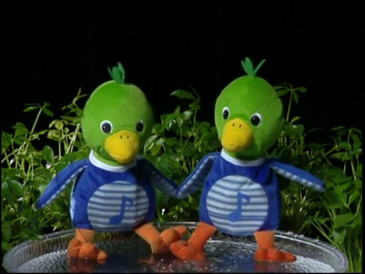 Baby Vivaldi the Mallard | The True Baby Einstein Wiki | Fandom