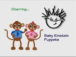 Baby Da Vinci Gallery The True Baby Einstein Wiki Fandom